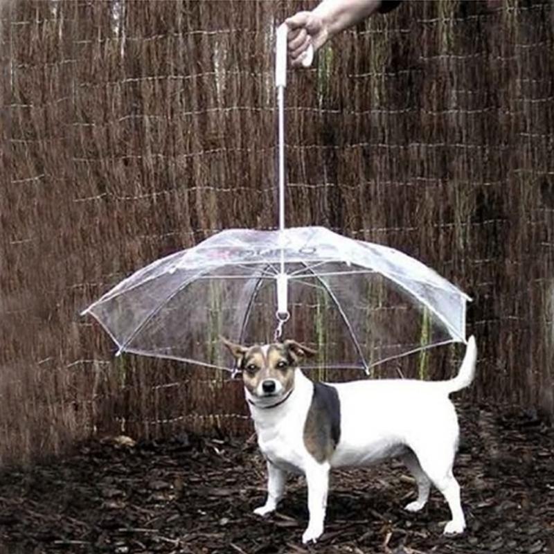 Useful Transparent PE Pet Umbrella Small Dog Umbrella Rain Gear with Dog Leads Keeps Pet Dry Comfortable in Rain Snowing